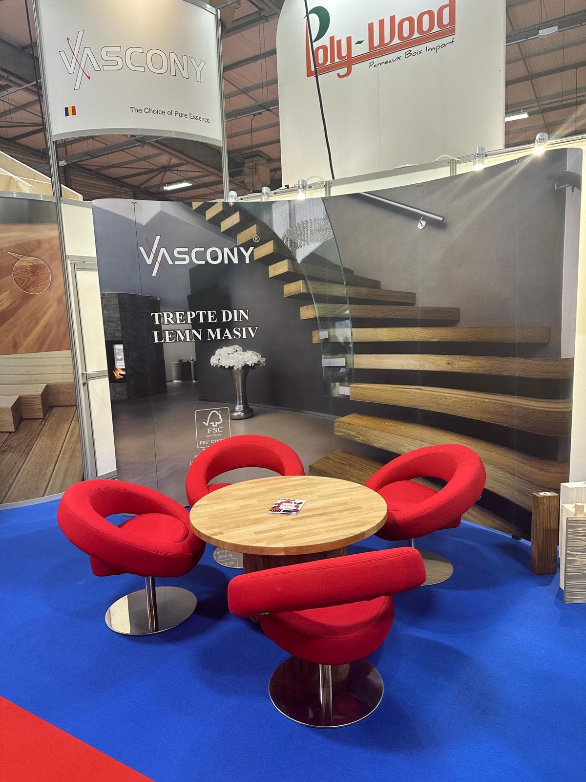 Proiecte internationale